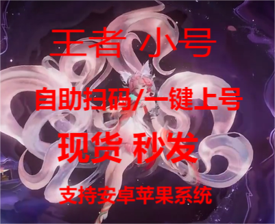 王者荣耀【Nikou定制版内核】辅助