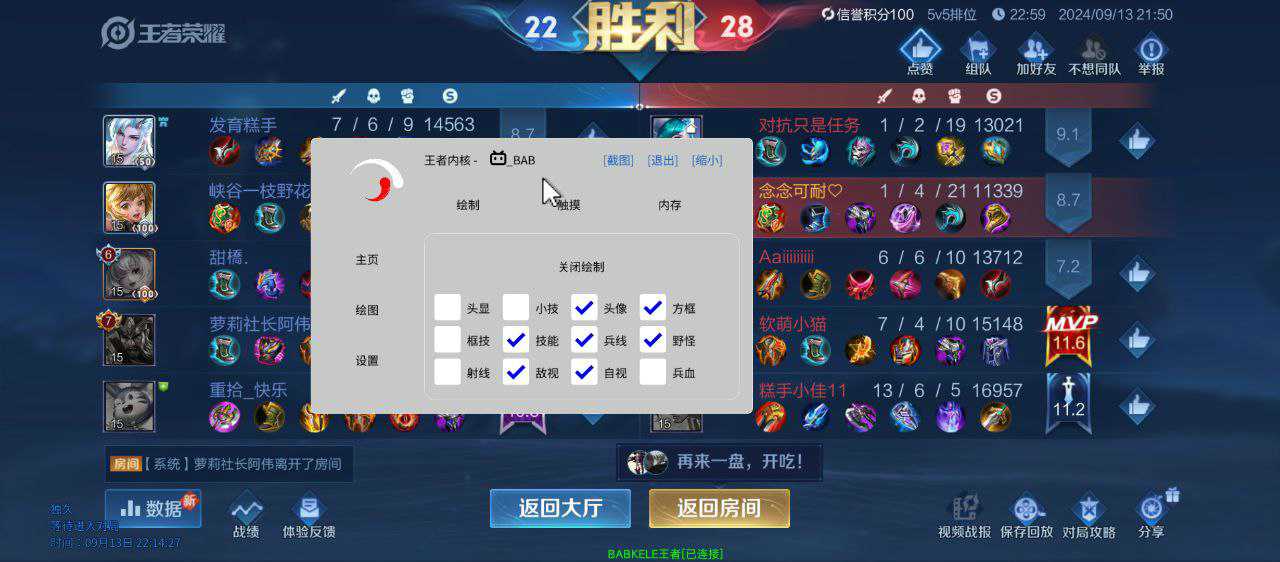 王者荣耀【迈凯轮】辅助